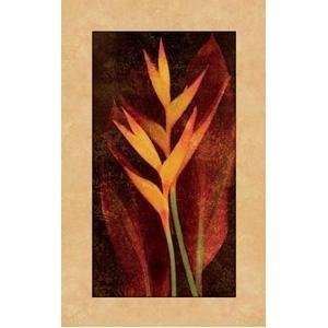  Heliconia Poster Print