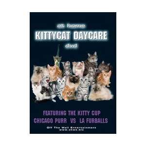  Cat DVD   At Home Kitty Daycare   The DVD Your Cats Will 