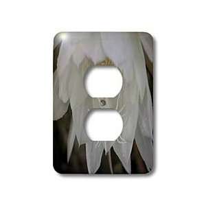   Night, Flower   Light Switch Covers   2 plug outlet cover Home
