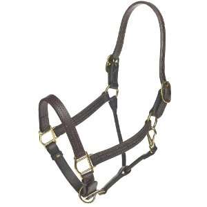 HALTER TRACK DELUXE 1 SB HWD FULL 