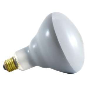   Incandescent 150 Watt Medium BR38 Flood light Bulb