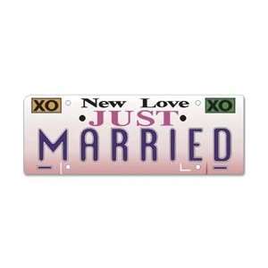  Jolees Boutique Title Wave Stickers Just Married SPJT 119 