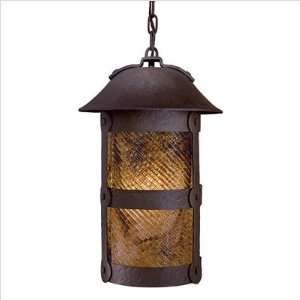  Lander Heights Indoor/Outdoor Hanging Lantern