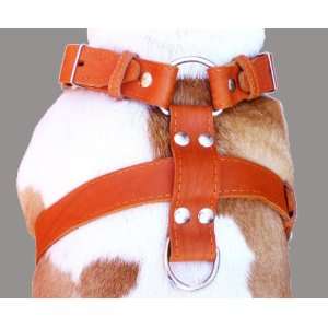   Leather Dog Harness Large. 26 30 Chest, 1.5 Wide