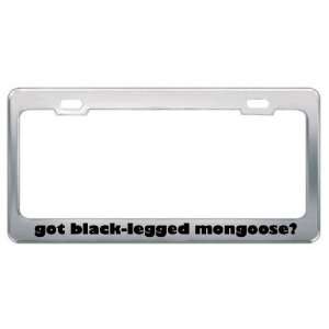 Got Black Legged Mongoose? Animals Pets Metal License Plate Frame 