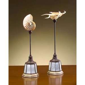 Nautilus Shell with Stand