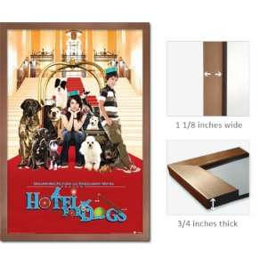   Framed Hotel For Dogs Poster Cast Kids Movie Fr 24729