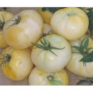  15 White Beauty Tomato Seeds Creamy White Patio, Lawn 