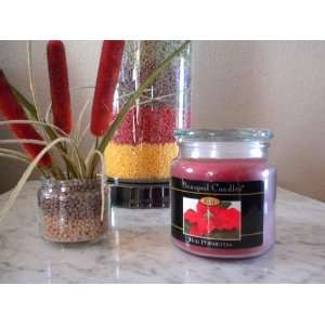  Beanpod Candles Red Poinsetta