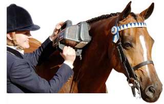 Thumper ATHLETE EQUINE Professional HORSE/BODY Massager  