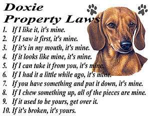 DACHSHUND DOXIE WEINER RED DOG PROPERTY LAWS T SHIRT  