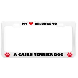  A Cairn Terrier Dog Pet White Metal License Plate Frame 