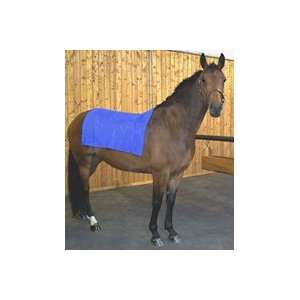  Balance Systems Coldflex Blanket   24 In X 36 In Sports 