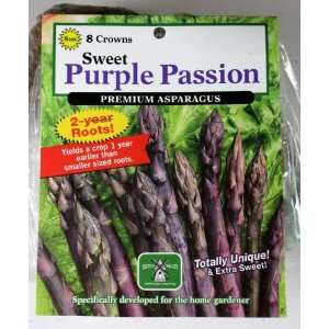   Asparagus Roots   Variety Sweet Purple Passion Patio, Lawn & Garden