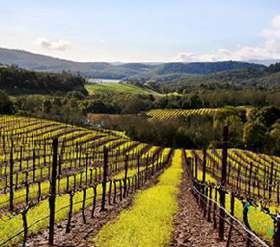 Buehler Vineyards Winery 