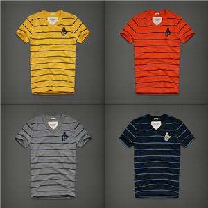   Hollister by Abercrombie Men Round Mountain V Neck Tee T Shirt Striped