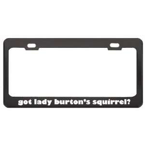 Got Lady BurtonS Squirrel? Animals Pets Black Metal License Plate 