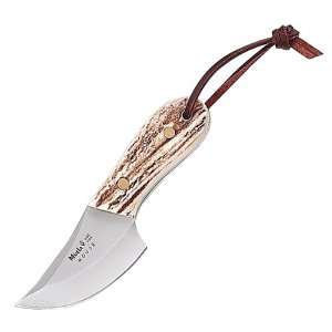  Muela of Spain Mouse, Stag Handle, Plain, w/Leather Sheath 