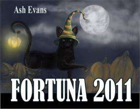 Ash Evans 2011 Fortuna Fairy Black Cat Art Calendar  