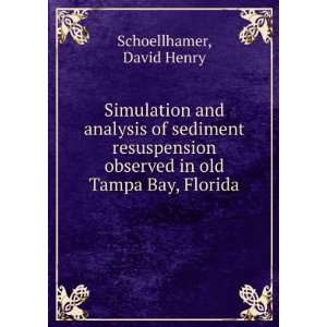   observed in old Tampa Bay, Florida David Henry Schoellhamer Books