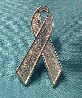 Schizophrenia Awareness Silver Support Ribbon Pin New  