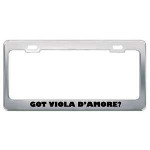 Got Viola DAmore? Music Musical Instrument Metal License Plate Frame 