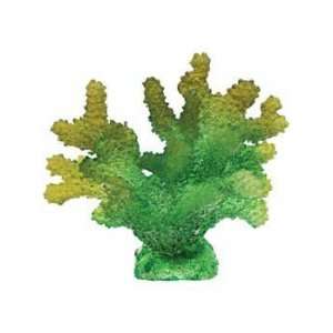   Products Spot Illuminated Acropora Coral Ornament