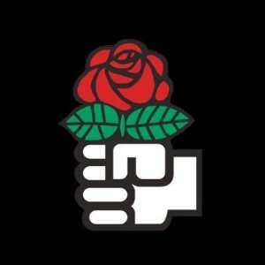 Socialist International Pin