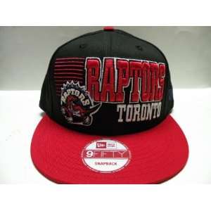  NewEra Tronto Raptors Borderline 2 Tone Retro Snapback Cap 