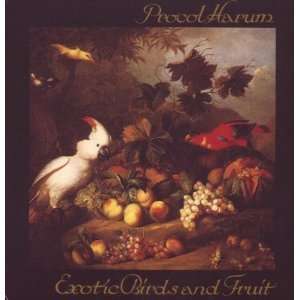  Exotic birds and fruit (1974) / Vinyl record [Vinyl LP 
