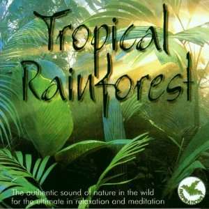  Tropical Rainforest Various Artists Music
