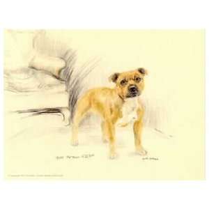 Staffordshire Bull Terrier Limited Edition Print and Signed by the 