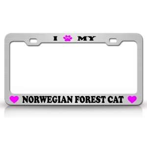  I PAW MY NORWEGIAN FOREST Cat Pet Animal High Quality 
