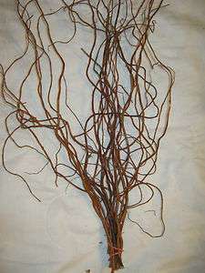 CURLY WILLOW BRANCHES  