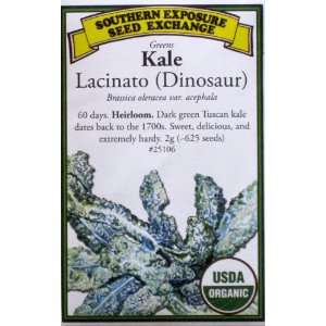  Dinosaur Kale Lacinato Heirloom Seeds USDA Certified 
