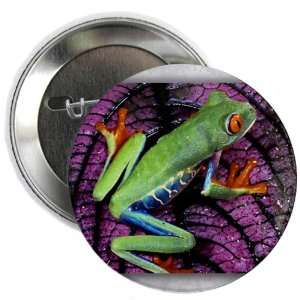    2.25 Button Red Eyed Tree Frog on Purple Leaf 