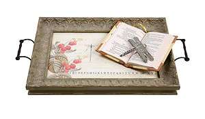 Shabby Chic Style~Sage Green~Large Dragonfly Tray/Metal Handles~Glass 