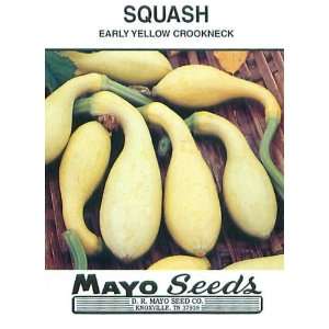  SQUASH EARLY YELLOW CROOKNECK   1/2 OZ Patio, Lawn 