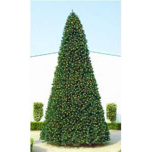 20 Giant Pre Lit Commercial Artificial Christmas Tree 