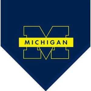  Michigan Wolverines NCAA Team Fleece Collection Throw 