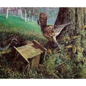  John Seerey Lester   Early Windfall Gray Squirrels Artist 