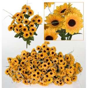   Sunflower Bushes for Home, Garden and Decoration