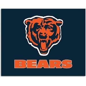  Bears Fremont Die NFL Car Flag