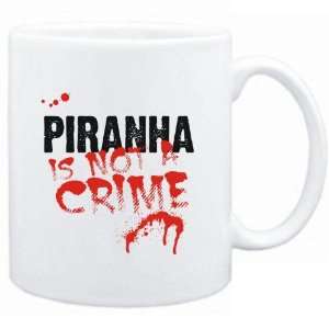    Being a  Piranha is not a crime  Animals