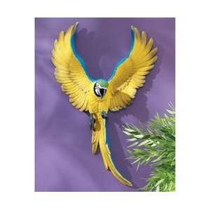  Yellow Neck the Cute Tropical Home and Garden Macaw 