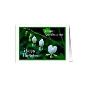  Happy Birthday to Granddaughter   White Hearts Card Toys & Games