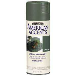 Rust Oleum 7924830 American Accents Spray, Satin Moss Green, 12 Ounce
