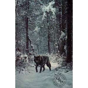  Ron Parker   Winter Encounter   Wolf