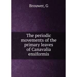  The periodic movements of the primary leaves of Canavalia 