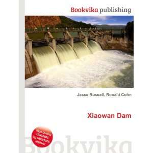  Xiaowan Dam Ronald Cohn Jesse Russell Books